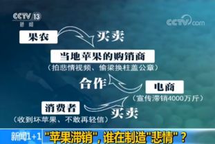 苹果滞销的悲情牌 互联网销售背后的真相调查